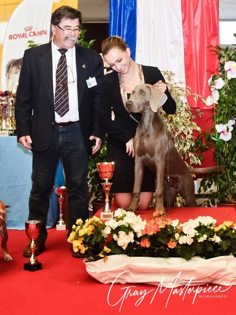 Nos journées en expo