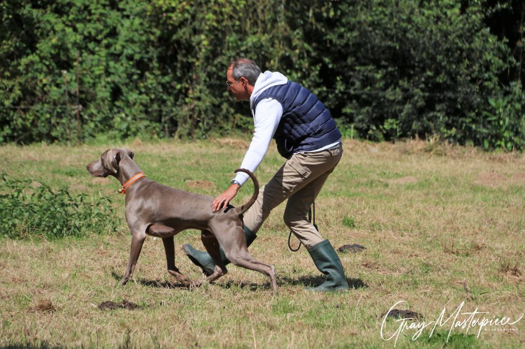 Nos journées à la chasse